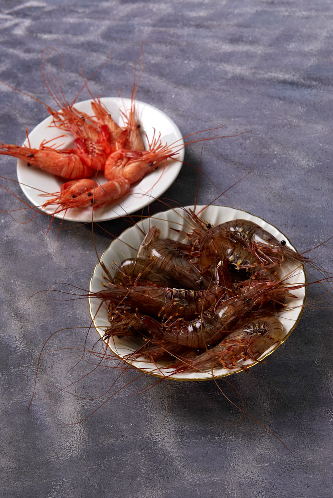 poissons er crustacés du Finistère