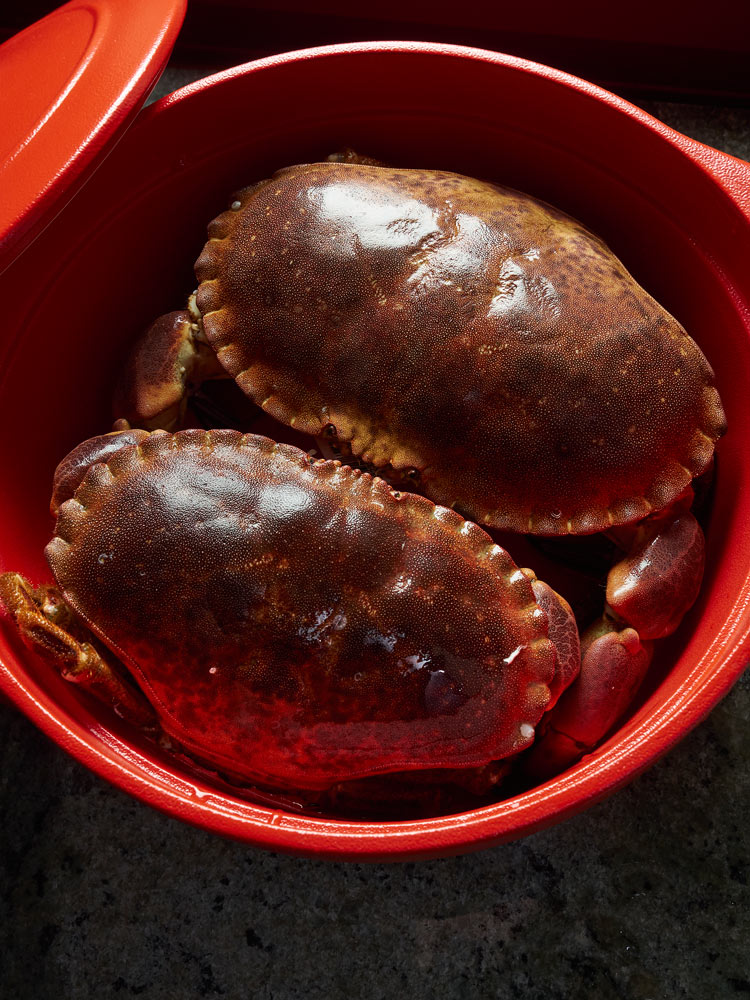 poissons er crustacés du Finistère