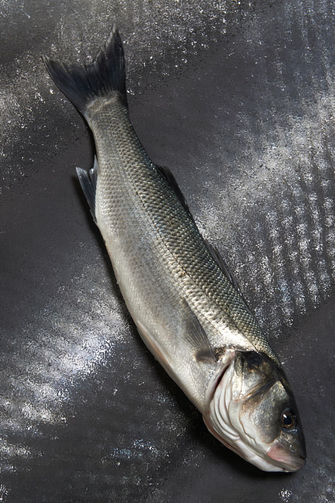 poissons er crustacés du Finistère