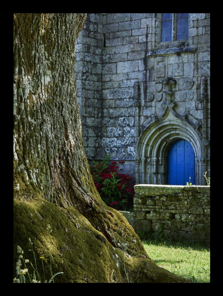 chene devant la chapelle de Kerdévot , Ergué Gabéric