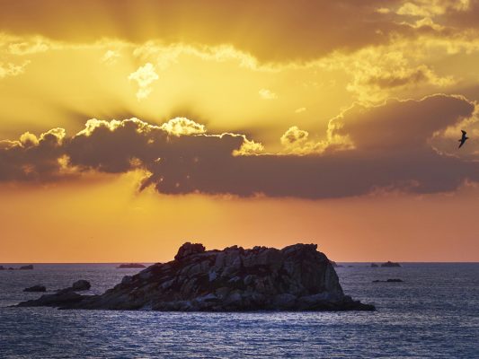 pointe de Perharidi , Roscoff , Finistère , Bretagne