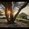 Pointe de Perharidy , Roscoff , tirage sur toile matte canvas