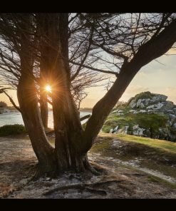 Pointe de Perharidy , Roscoff , tirage sur toile matte canvas