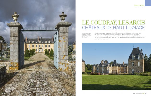 Chat Le Coudray et Les Arcis , VMF spécial Mayenne , novembre 2020